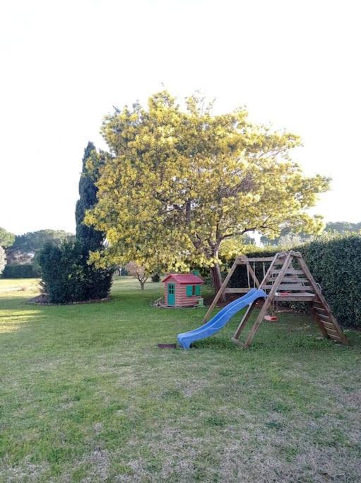 הוילה La Casina Di Campagna Tra Cecina E Bibbona מראה חיצוני תמונה