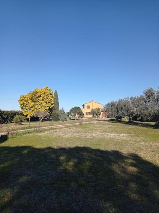 הוילה La Casina Di Campagna Tra Cecina E Bibbona מראה חיצוני תמונה