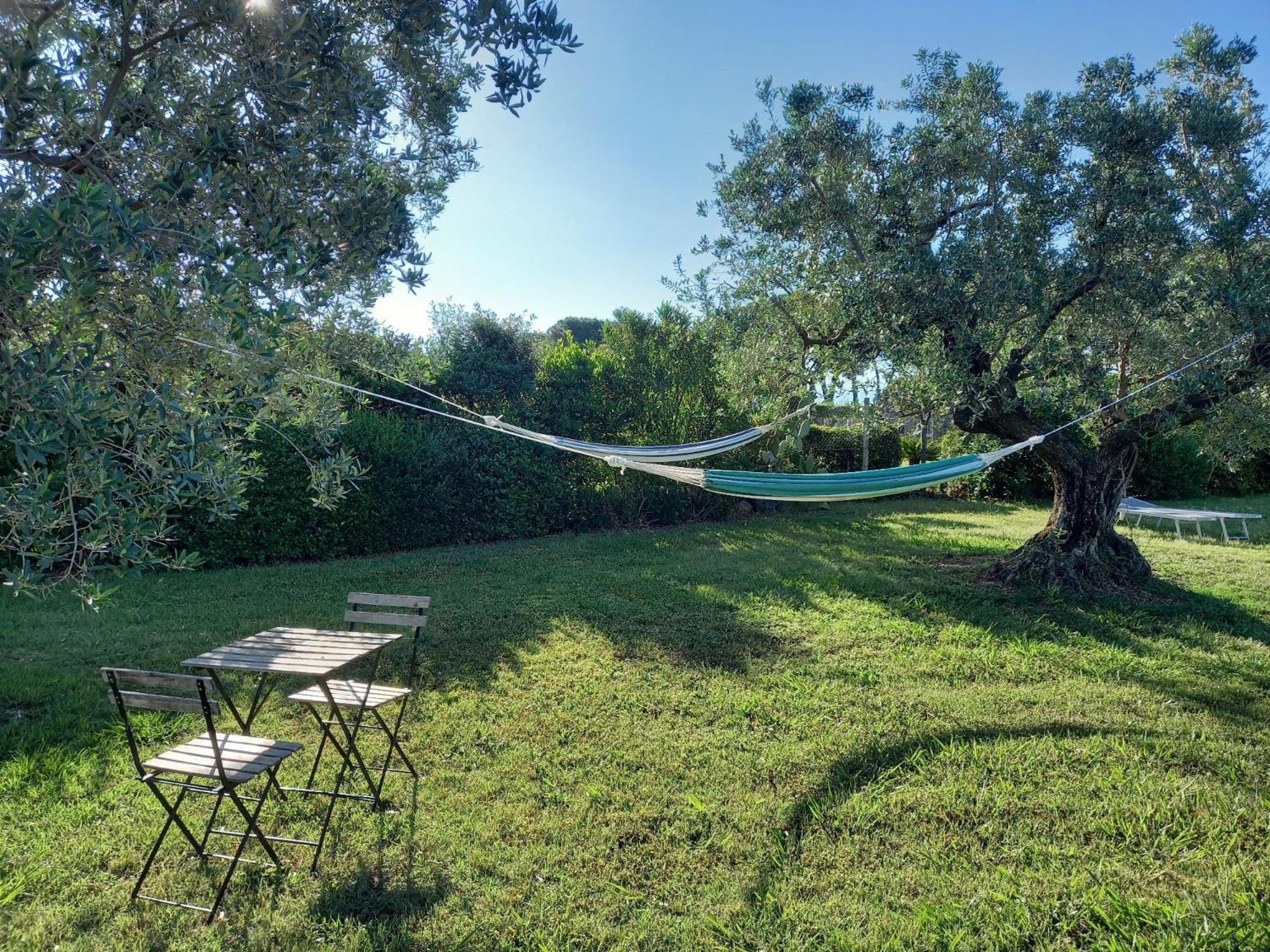 הוילה La Casina Di Campagna Tra Cecina E Bibbona מראה חיצוני תמונה