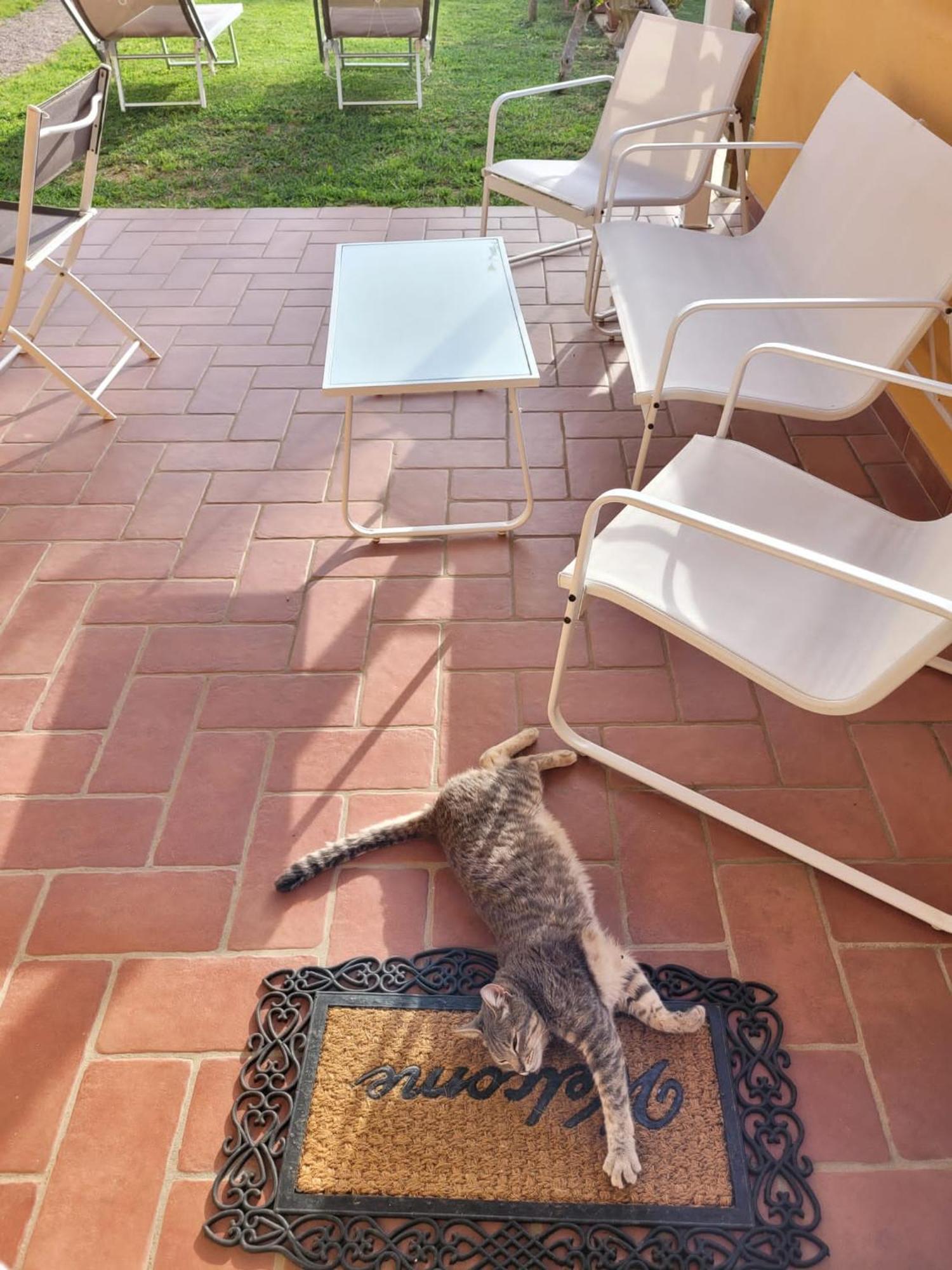 הוילה La Casina Di Campagna Tra Cecina E Bibbona מראה חיצוני תמונה